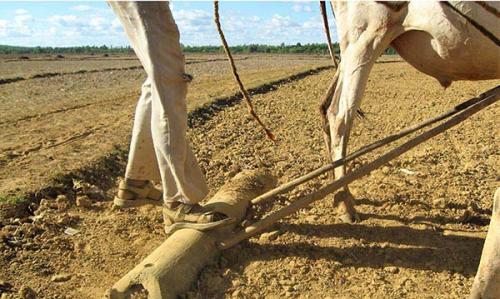 Estimating-Agricultural-Productivity3