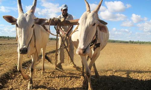 Estimating-Agricultural-Productivity7