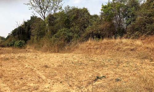 Iron-and-Steel-Smelting11