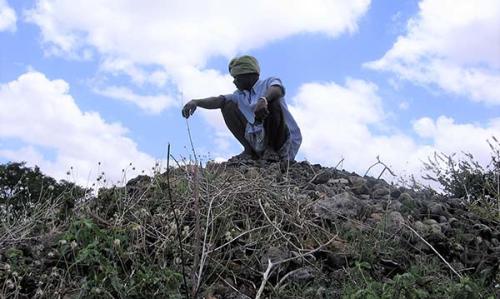 Iron-and-Steel-Smelting4