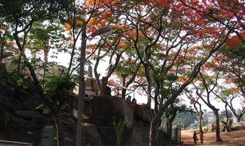 Pre-Cantonment-Bangalore-7